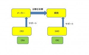 治験とは?図2